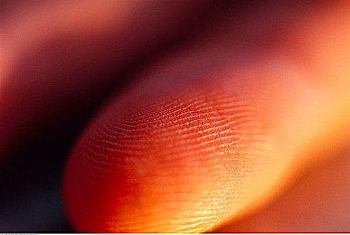 《怪物猎人崛起：曙光》添加两种新护石炼金 4月更新实装